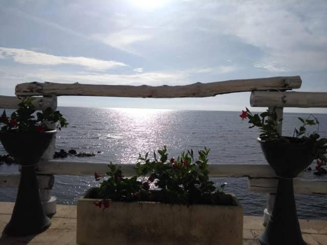 Al Chiaro Di Luna Resort Borgo Pantano Exteriér fotografie